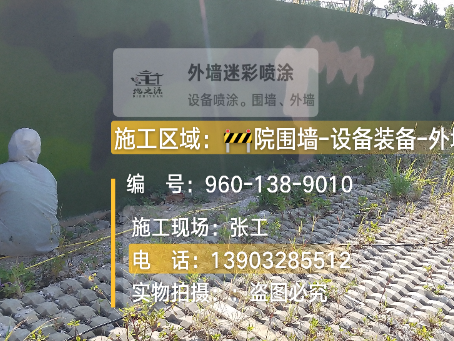 武清外墙迷彩漆材料价约 45-60 元 /k