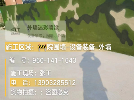 武清 迷彩漆喷涂价格（按平方米计费）
